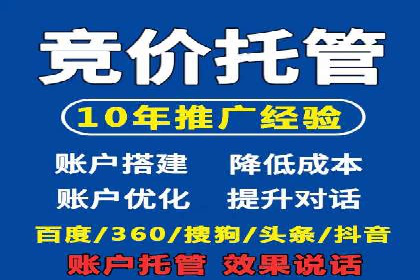 百度优化推广案例剖析：某电商平台的成功之路